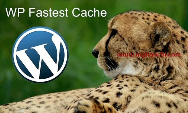 WP Fastest Cache Premium v1.6.2 已激活中文版 – 简洁高效的缓存插件